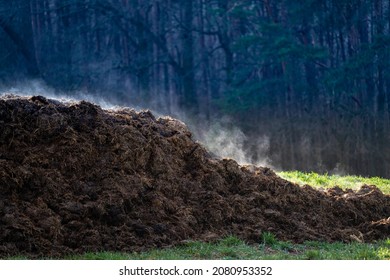 A Pile Of Cow Dung As A Symbol Of Methane Pollution Of The Atmosphere. The Strongest Greenhouse Gas Leading To Climate Change