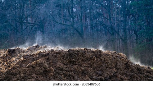 A Pile Of Cow Dung As A Symbol Of Methane Pollution Of The Atmosphere. The Strongest Greenhouse Gas Leading To Climate Change