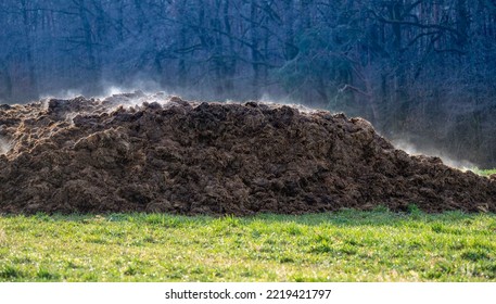 A Pile Of Cow Dung As A Symbol Of Methane Pollution Of The Atmosphere. The Strongest Greenhouse Gas Leading To Climate Change