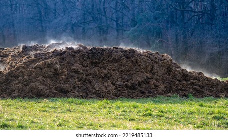 A Pile Of Cow Dung As A Symbol Of Methane Pollution Of The Atmosphere. The Strongest Greenhouse Gas Leading To Climate Change