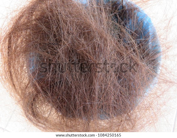 Pile Cut Hairs Bin Haircut Usually Stock Image