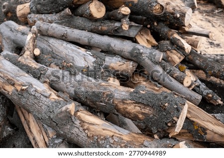 Pile of cut logs with different textures and colors stacked outdoors, highlighting bark, wood grain, and natural imperfections in the wood