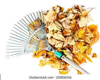 Pile Of Dead Fall Leaves Swept By Metal Fan Rake Shot On White