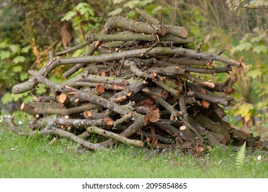 Pile Of Dead Wood In A Meadow.