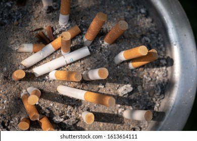 Pile Discarded Cigarette Butts On Trash Stock Photo 1613614111 ...