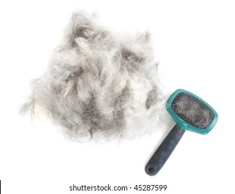 A Pile Of Dog Hair (German Shepherd) With A Slicker Brush.