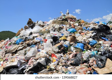 Pile of domestic garbage in landfill - Powered by Shutterstock