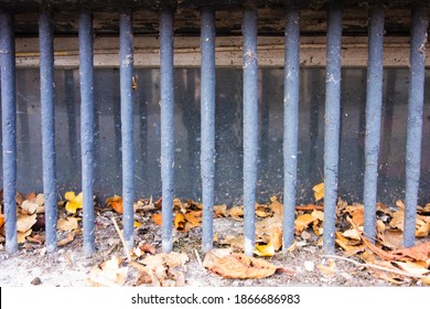 A Pile Of Dried Autumn Leaves Piled Against A Dirty Window With Steel Grey Burglar Bars