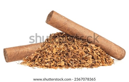 Pile of dried tobacco leaves and brown cigars isolated on a white background