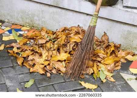 pile of dry leaves swept up with a broom made of twigs, collected at the edge