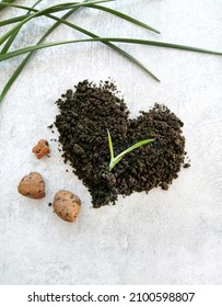 Pile of earth for spring transplant of home plants, sprout of houseplant, heart-shaped soil, green homegrown grass on gray background, top view photo, ecological concept. - Shutterstock ID 2100598807