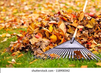 Pile von Herbstblättern mit Fächerrake auf Rasen