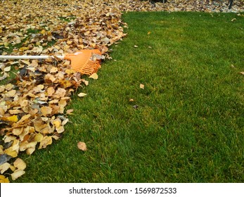 Pile Of Fall Leaves With Fan Rake On Lawn