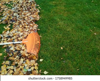 Pile Of Fall Leaves With Fan Rake On Lawn