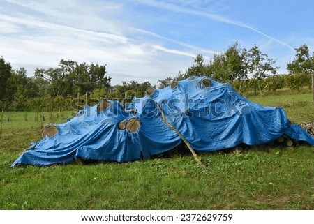 A pile of firewood covered with a blue tarp