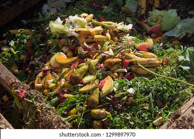 A Pile Of Food Waste In A Composting Bin