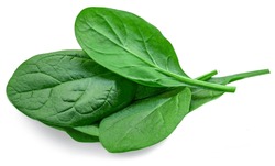 Pile Of Fresh Green Baby Spinach Leaves Isolated On White Background. Espinach Close Up. Flat Lay. Food Concept. 