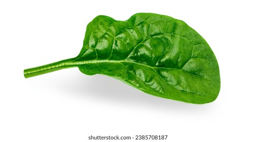 Pile of fresh green baby Spinach leaves isolated on white background. Espinach Close up. Various Spinach Macro.
