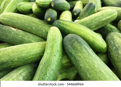 Pile of fresh green cucumbers at the market