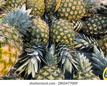 A pile of fresh green pineapples with sharp leaves on display at a supermarket grocery section.

Full frame background of ripe organic pineapples harvested and stacked together at a traditional Asian market.

Close-up pattern of fresh whole pineapples, rich in vitamin C, perfect for tropical summer food concept.

Thursday, July 2, 2026 at 10:06 PM
Denpasar, Bali, Indonesia