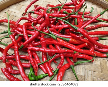 a pile of fresh red chili peppers with bright red color and green stalks still attached are placed on a woven bamboo tray - Powered by Shutterstock