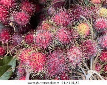 Pile of fresh and ripe sweet rambutan fruit, rambutan fruit in basket. fruit background concept