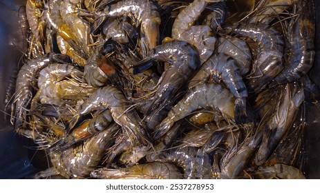 A pile of fresh shrimp taken with a bird's eye in the city of Kuningan, West Java, Indonesia - Powered by Shutterstock