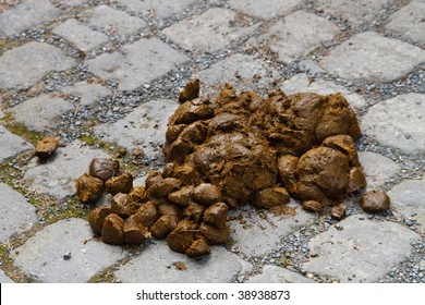 A pile of fresh and smelly horse manure on paving-stone.