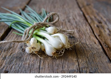 Pile of fresh spring onion on wooden table