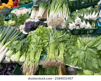 Pile of Fresh.assorted vegetables background.