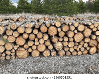 A pile of freshly cut timber logs neatly stacked in a forestry area, showcasing sustainable logging practices. The logs are surrounded by greenery, symbolizing the balance of nature and industry. - Powered by Shutterstock