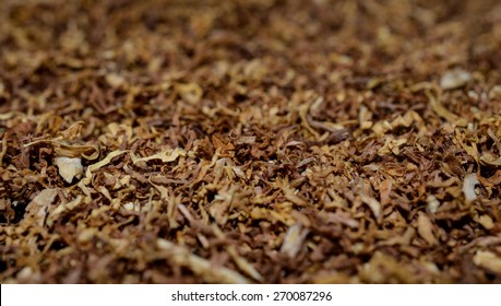 a pile of freshly cut tobacco texture in the background. closeup pattern