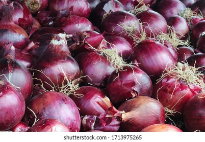 Pile of freshly harvested organic sweet red onions (allium cepa) in different sizes, selective focus