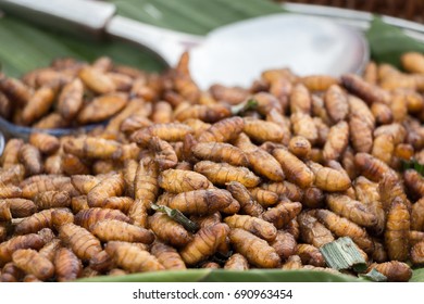 Pile Fried Silk Worm Larvae Popular Stock Photo 690963454 | Shutterstock