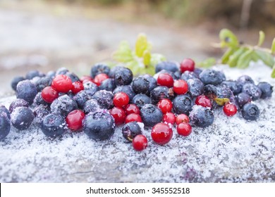 Pile of frozen lingonberries and blueberries, on frosty background