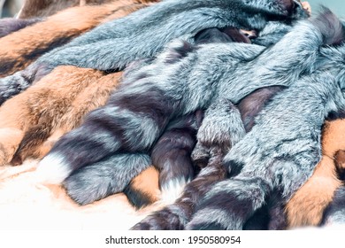 Pile of fur from rabbit and foxes. The concept of mining and sale of the fur beast