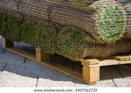 Pile of grass on a wooden pallet. Rolled lawn covered with netting, close-up view. Gardening concept.