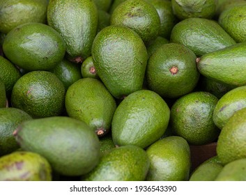 Pile Of Green Avocado Background