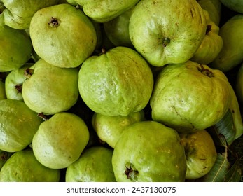 a pile of green guavas fruits background