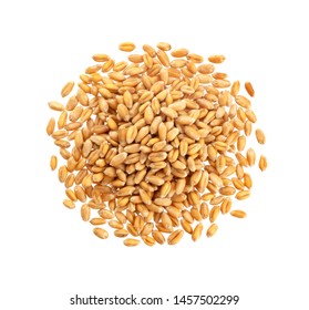 Pile or heap of wheat grains isolated on white background with clipping path, top view