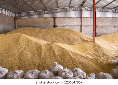 Pile Of Heaps Of Wheat Grains And Sacks At Mill Storage Or Grain Elevator.