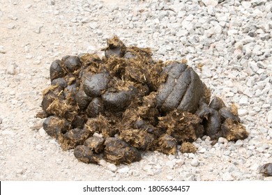 43 Pale poop Images, Stock Photos & Vectors | Shutterstock