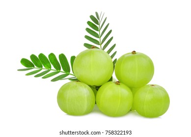 pile of indian gooseberry fruit with green leaves isolated on white background