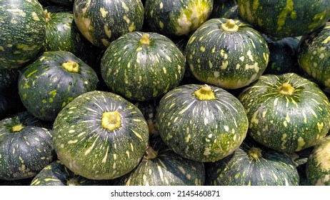 Pile of Kabocha squash (green pumpkin) is a type of Japanese winter squash variety from the species Cucurbita maxima. Also known as Japanese squash. Agriculture, fruits vegetables business concept.