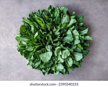 A Pile of Kai-lan or Chinese Kale (Brassica Oleracea Var. Alboglabra) on the Cement Texture Background. Freshly Harvested Vegetable.
