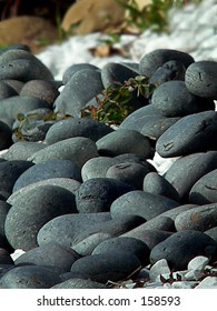 Pile Of Large Mexican Beach Pebbles At A Shingle Beach On The Pacific Coast In The United States. These Are Black And Are Often Used In Decorative Landscapes.  Rounded Smooth, Vertical Composition.