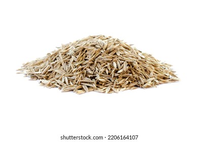 Pile of lawn grass seeds isolated on white background. Dry lawn grass seeds isolated on white background. Heap of lawn grass seeds on a white background. - Shutterstock ID 2206164107