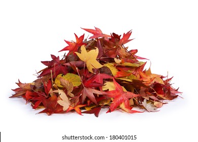 Pile Of Leaves