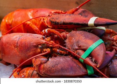 Pile Of Live Lobsters, Nephropidae, On Ice In A Seafood Market