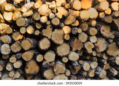 Pile of Logs